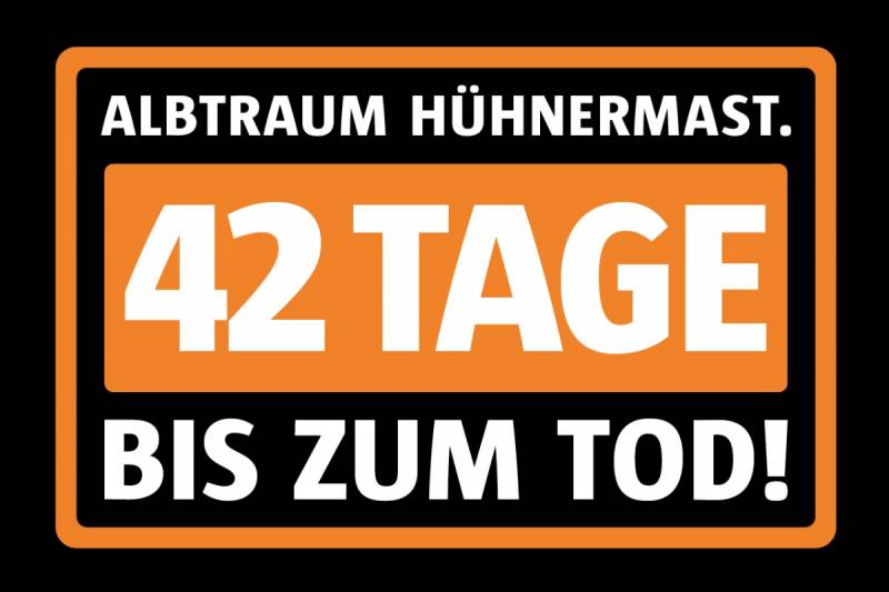 Albtraum Hühnermast. 42 Tage bis zum Tod!