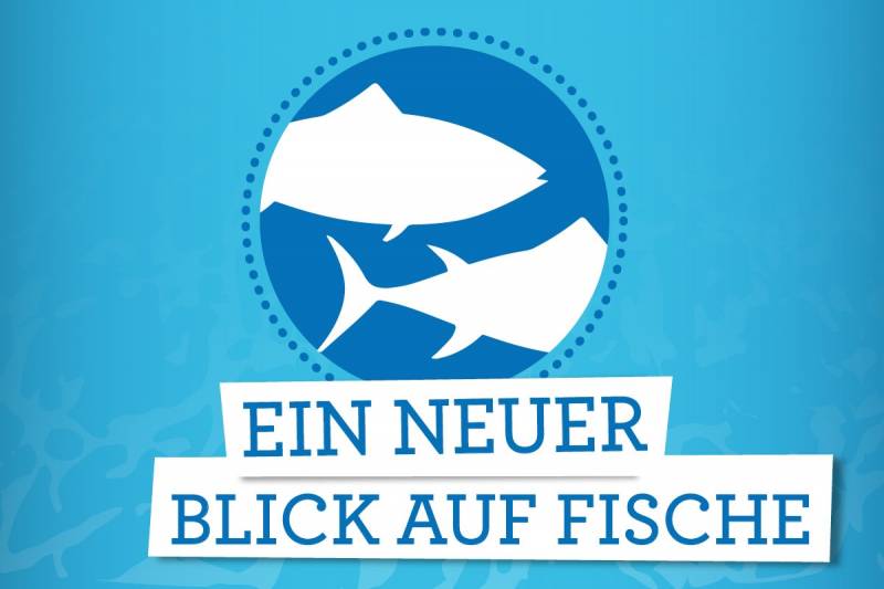 Ein neuer Blick auf Fische