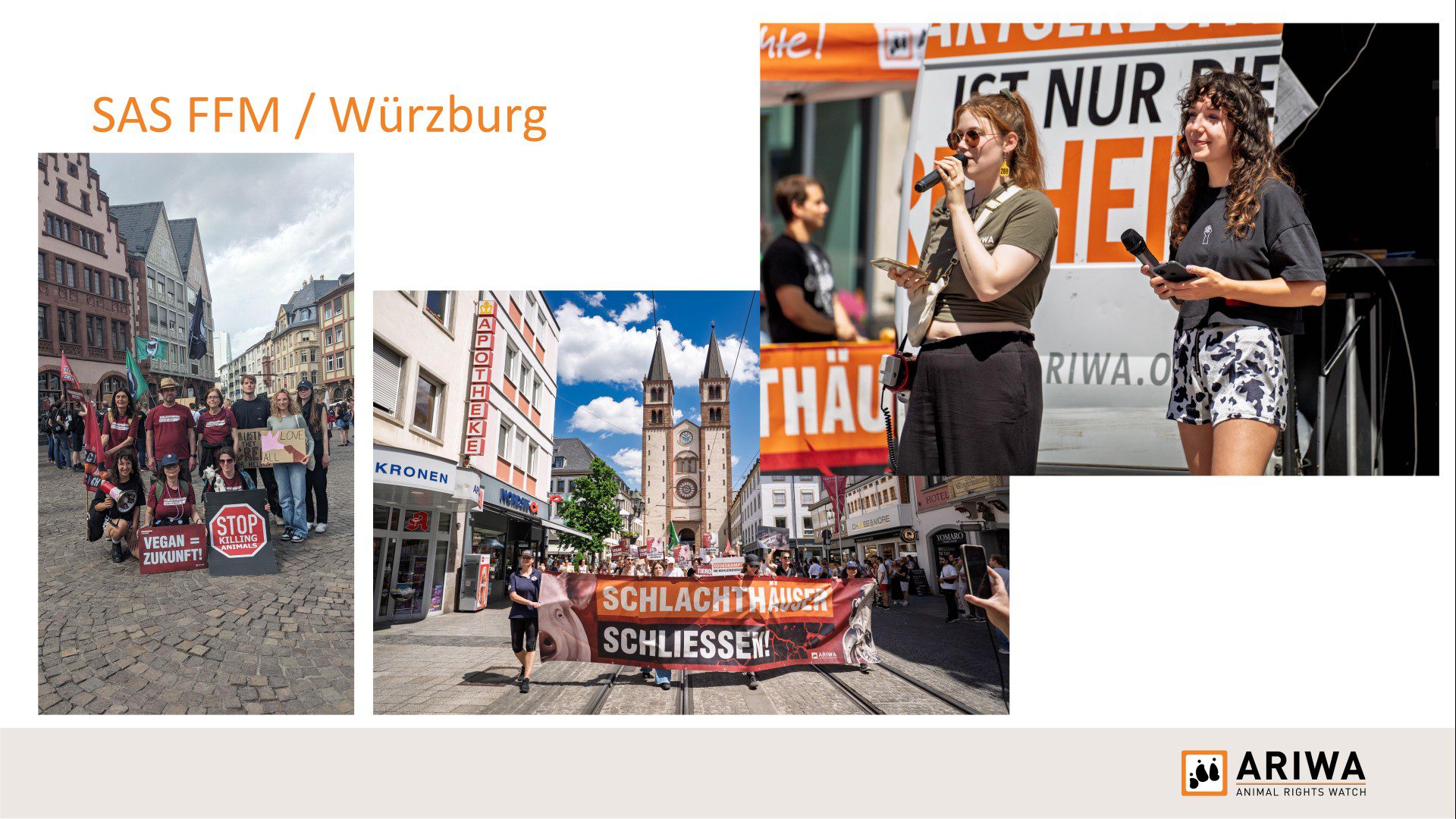 Präsentationsfolie „SAS FFM / Würzburg": Drei Fotos von Schlachthäuser-schließen-Aktionen. Links Gruppenfoto in Frankfurt mit Schildern „Vegan = Zukunft!" und „Stop Killing Animals". Mitte Demo-Zug in Würzburg mit „Schlachthäuser schließen!"-Banner vor dem Kiliansdom. Rechts zwei Rednerinnen mit Mikrofon auf einer Bühne.