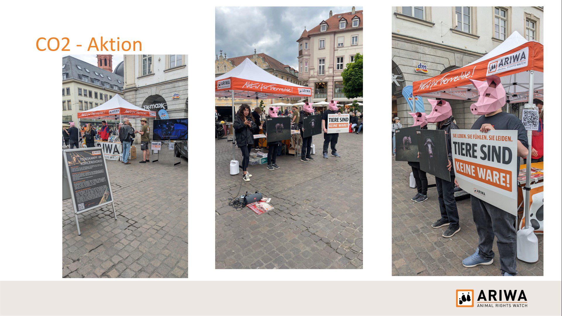 Präsentationsfolie „CO2-Aktion": Drei Fotos eines Infostands in Würzburg. Aktivist:innen mit pinken Schweinemasken halten Tierfotografien und Schild „Sie leben. Sie fühlen. Sie leiden. Tiere sind keine Ware!" Daneben ein Aufsteller zum Thema CO2-Ausstoß durch Tierprodukte.
