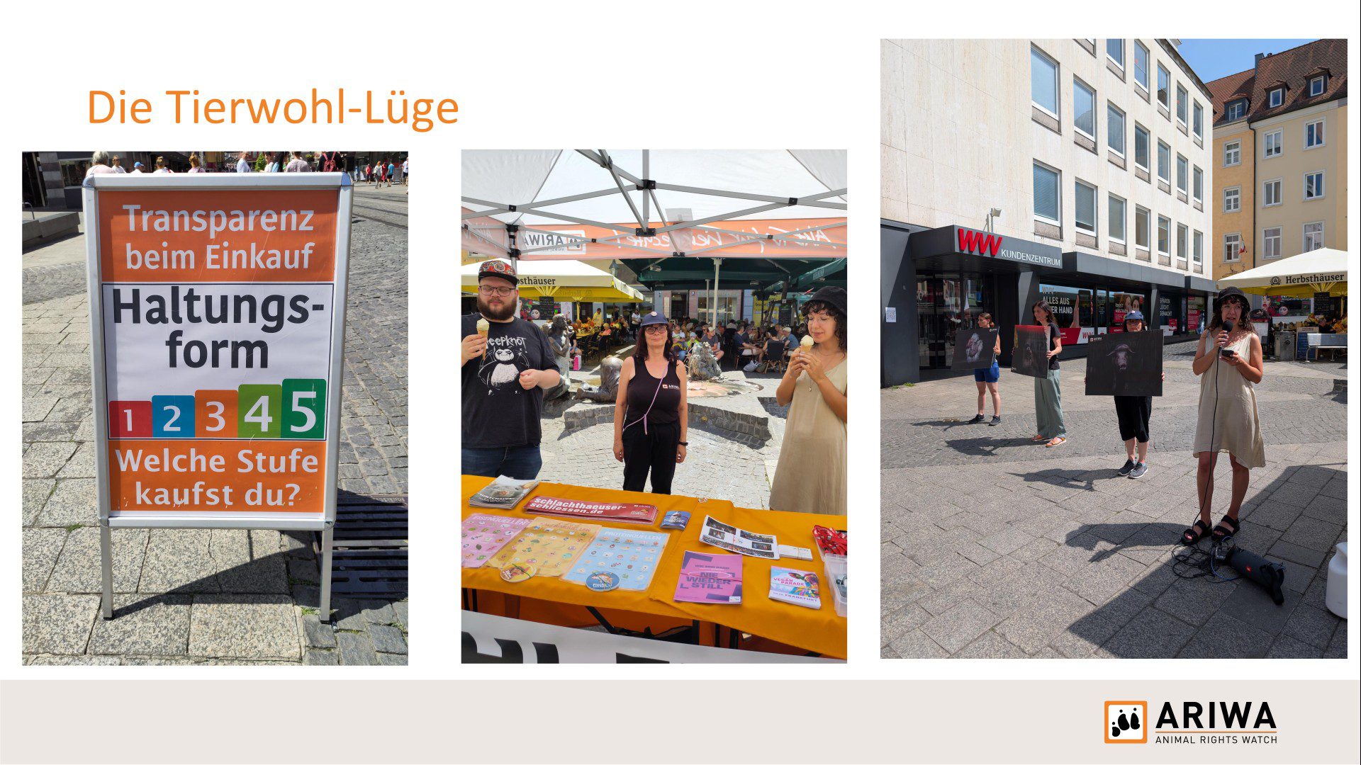 Präsentationsfolie „Die Tierwohl-Lüge": Links Aufsteller „Transparenz beim Einkauf – Haltungsform 1–5, Welche Stufe kaufst du?". Mitte zwei Aktivist:innen mit Eis am Infostand. Rechts Aktivist:innen mit Tierfotografien und Rednerin mit Mikrofon auf einem Stadtplatz.