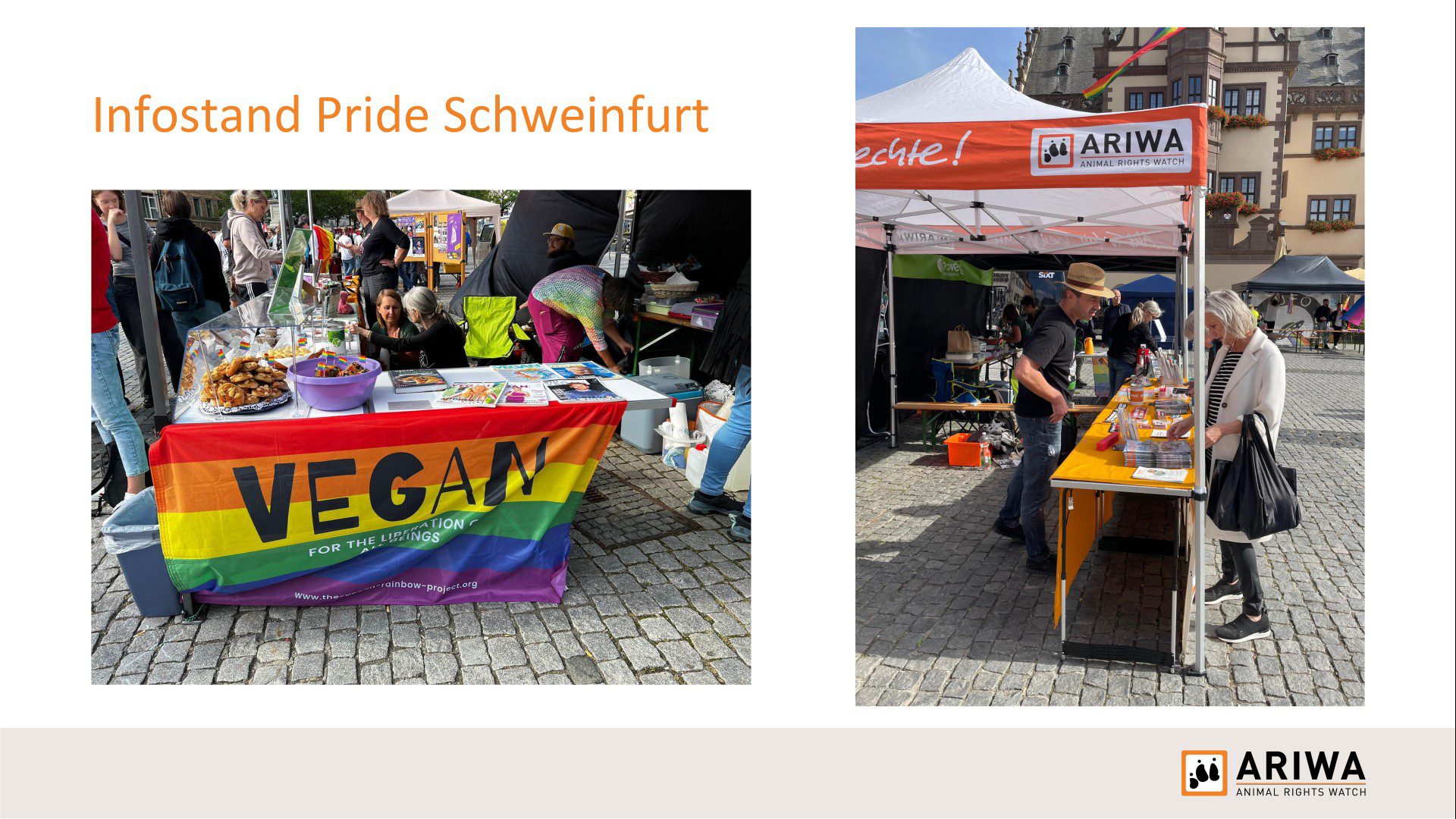 Präsentationsfolie „Infostand Pride Schweinfurt": Links Infostand mit Regenbogenfahne „Vegan – for the liberation of all beings" und veganen Kostproben. Rechts ARIWA-Pavillon mit gelbem Tisch und Infomaterialien auf einem Marktplatz mit Fachwerkhäusern im Hintergrund.