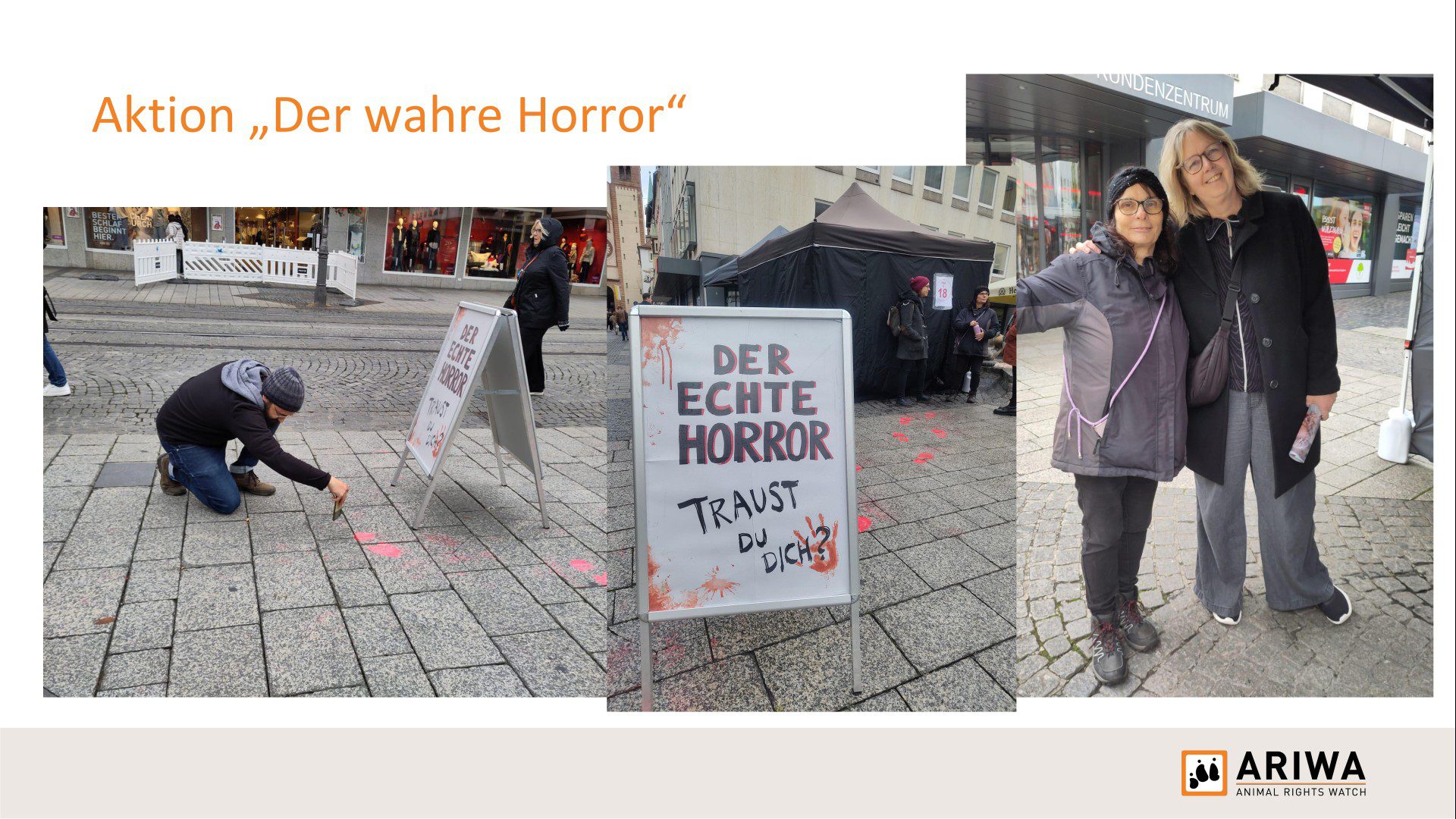 Präsentationsfolie „Aktion ‚Der wahre Horror'": Links Aktivist klebt rote Farbflecken (Blut-Imitation) auf Pflastersteine. Mitte Aufsteller „Der echte Horror – Traust du dich?" mit blutigem Design. Rechts zwei Aktivistinnen lächelnd vor dem Stand.