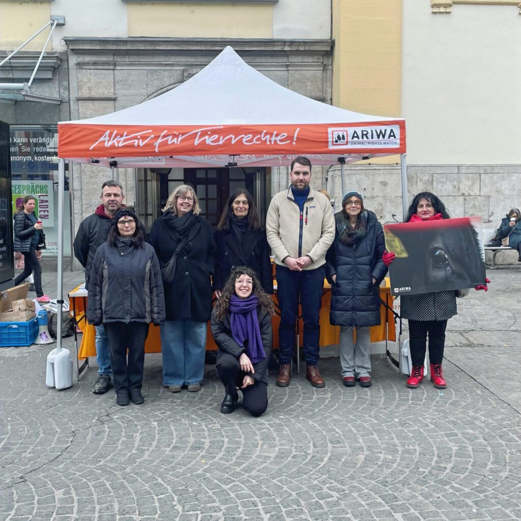 Gruppenfoto von sieben Aktivist:innen von ARIWA Animal Rights Watch vor ihrem weißen Infostand-Pavillon mit orangem Banner „Aktiv für Tierrechte!" auf einem Stadtplatz. Eine Person hockt vorne mit lila Schal, die anderen stehen dahinter. Eine Person rechts hält ein großformatiges Schwarz-Weiß-Tierfoto. Bewölktes Winterwetter.