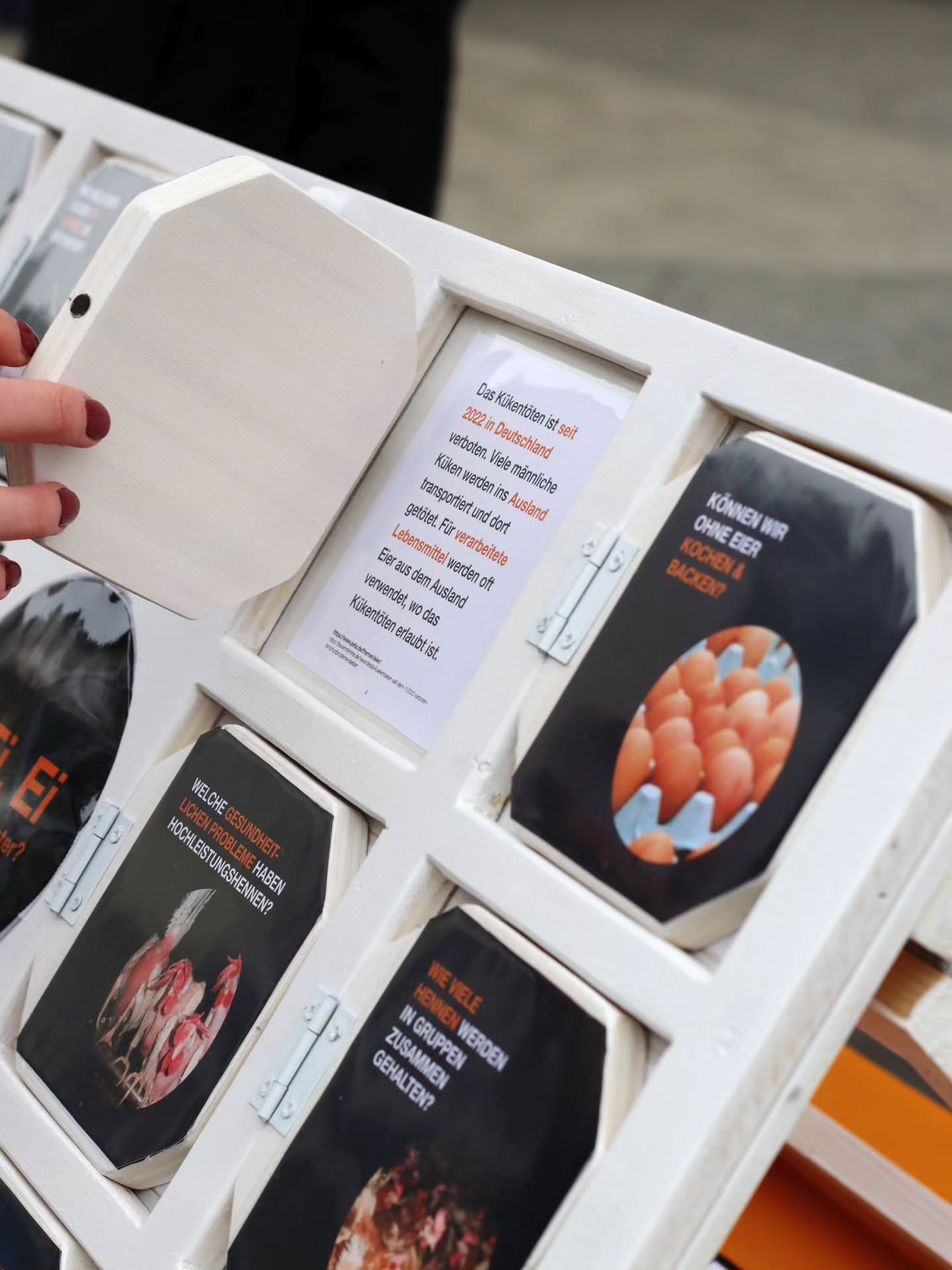 Nahaufnahme eines weißen Holzklappdisplays mit aufklappbaren Infotafeln zur Eierindustrie. Sichtbare Fragen und Texte: „Können wir ohne Eier kochen & backen?", „Welche gesundheitlichen Probleme haben Hochleistungshennen?", „Wie viele Hennen werden in Gruppen zusammen gehalten?" sowie ein Text über das seit 2022 in Deutschland verbotene Kükentöten und dessen Umgehung durch Auslandsimporte.