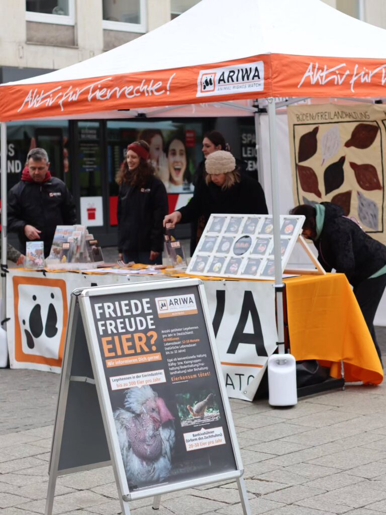 ARIWA-Infostand zur Eierindustrie auf einem Stadtplatz. Im Vordergrund ein Aufsteller „Friede Freude Eier? – Wir informieren Dich gerne!" mit Fakten zu Legehennen und dem Satz „Eierkonsum tötet!". Dahinter der Tisch mit Broschüren, das Eier-Klappquiz und ein gemaltes Schaubild zur Bodenhaltung/Freilandhaltung. Vier Aktivist:innen sind am Stand zu sehen.