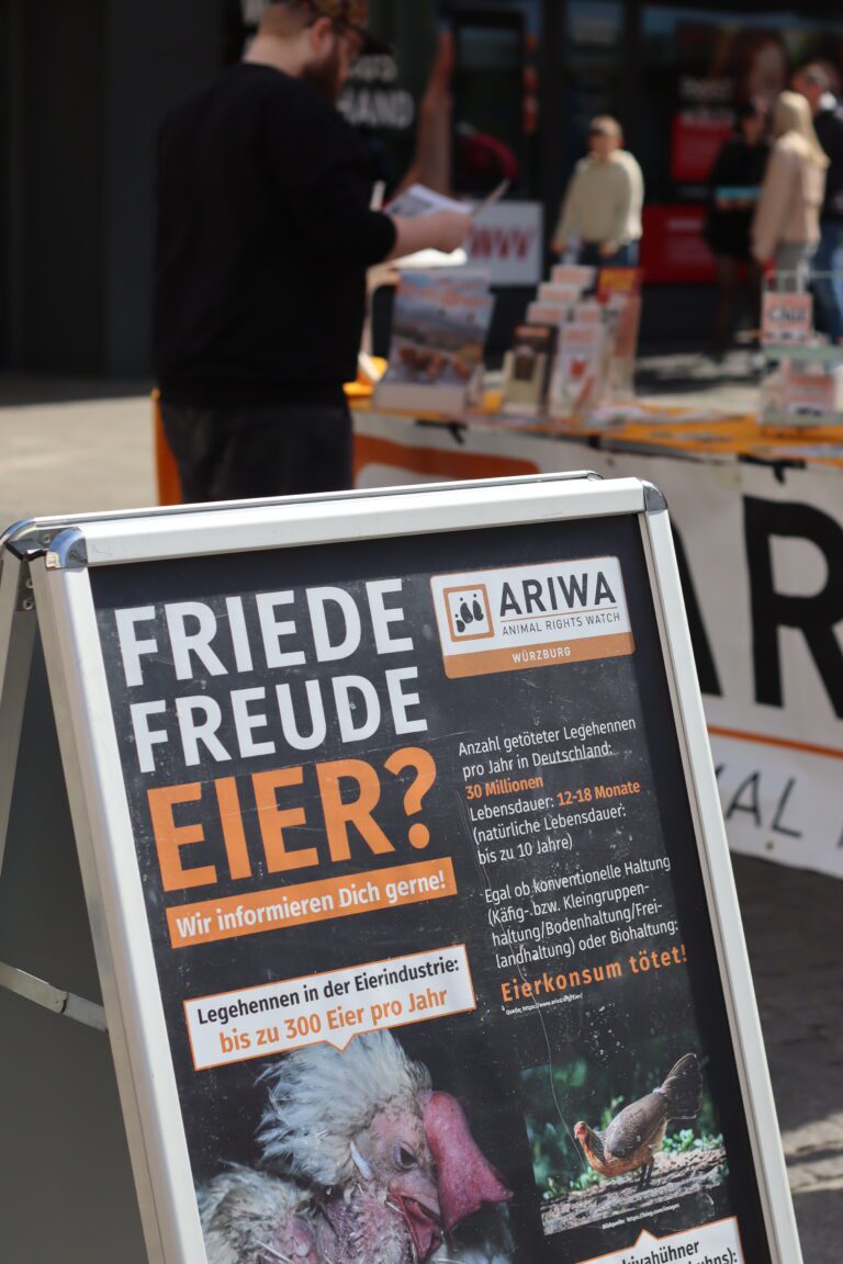 Nahaufnahme des ARIWA-Aufstellers „Friede Freude Eier? – Wir informieren Dich gerne!" mit Fakten zur Eierindustrie: 30 Millionen getötete Legehennen pro Jahr, Lebensdauer 12–18 Monate, Satz „Eierkonsum tötet!" Im Hintergrund unscharf der Infostand mit Aktivist und Passant:innen.