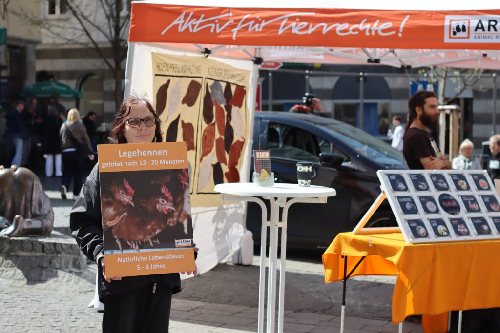 Aktivistin hält das Legehennen-Plakat vor dem ARIWA-Stand. Daneben ein weißer Stehtisch, das Eier-Infodisplay und das handgemalte Haltungsformen-Schaubild. Sonniges Frühlingswetter.
