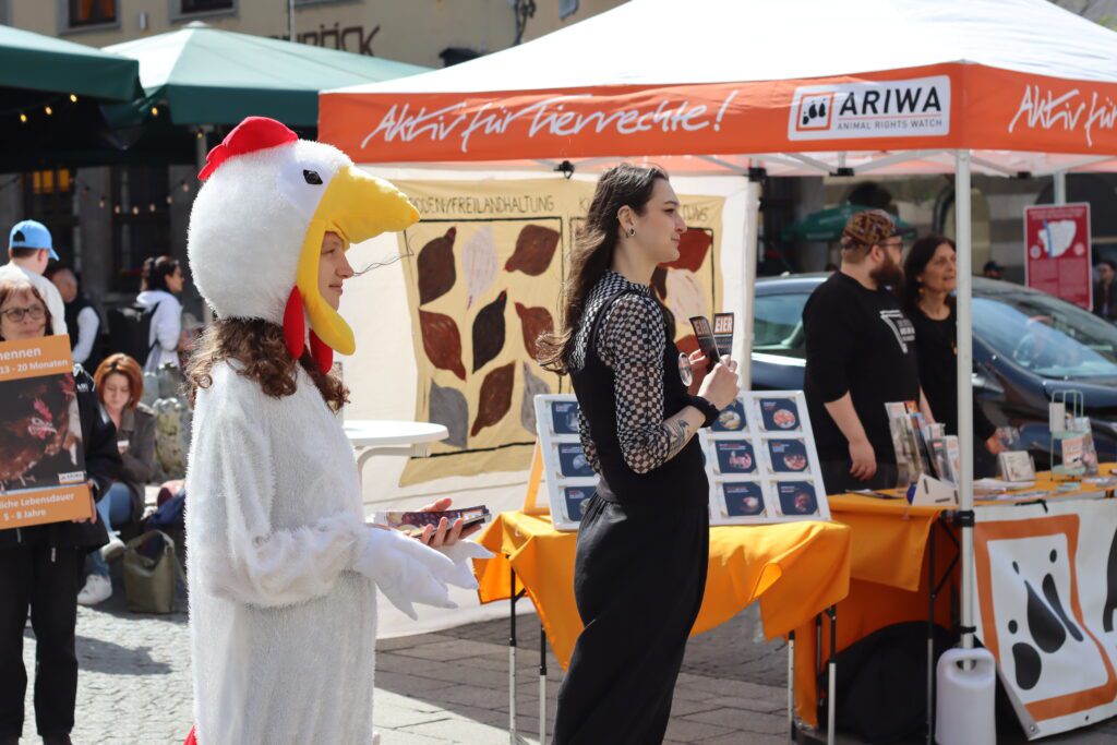 Aktivistin im weißen Hühnerkostüm und eine weitere Aktivistin stehen vor dem ARIWA-Stand und sprechen miteinander. Im Hintergrund der Pavillon mit Haltungsformen-Banner, Eier-Infodisplay und zwei weiteren Aktivist:innen am Tisch.