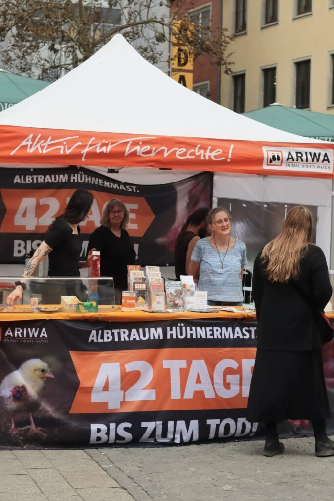 ARIWA-Infostand zur Kampagne „Albtraum Hühnermast – 42 Tage bis zum Tod!" auf einem Stadtplatz. Vorderes Banner mit Küken-Foto und orangem Text. Dahinter drei Aktivist:innen am Tisch mit Broschüren und veganen Kostproben. Eine Passantin steht vor dem Stand.