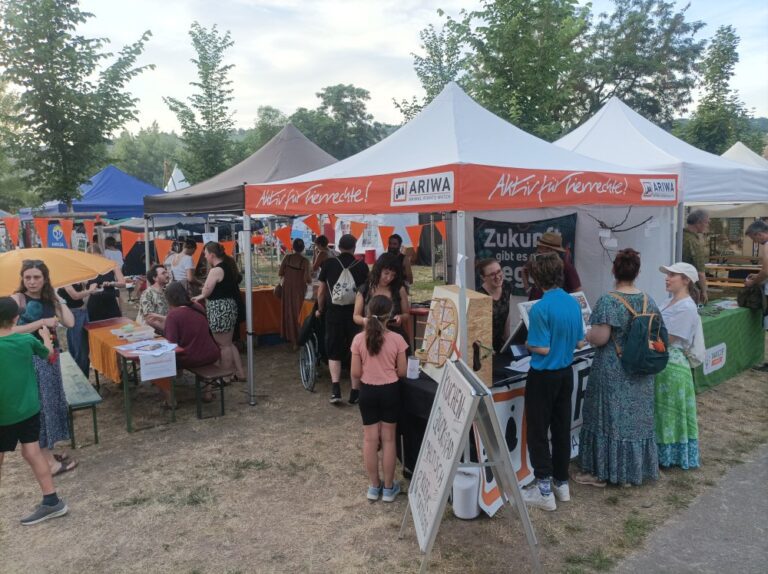 Belebter ARIWA-Stand beim Festival Umsonst & Draußen, Abendsonne. Zwei weiße Pavillons mit orangem ARIWA-Banner, bunte Wimpelkette. Mehrere Besucher:innen am Stand, im Hintergrund ein „Zukunft gibt es nur vegan"-Banner und ein selbstgebautes Glücksrad. Vorne ein Aufsteller mit Schrift „Kuchen, Glücksrad…".