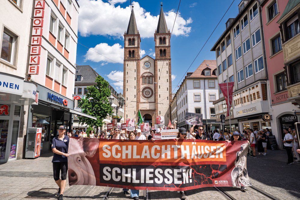 Tierrechts-Demo von ARIWA in der Würzburger Innenstadt. Eine Menschenmenge zieht durch eine Fußgängerzone mit dem Kiliansdom im Hintergrund. Vorne wird ein großes rotes Banner mit Schweinefoto und der Aufschrift „Schlachthäuser schließen!" getragen. Weitere Schilder mit Aufschriften wie „Tiere" und „Fleisch" sind im Hintergrund zu sehen. Sonniges Wetter, blauer Himmel.