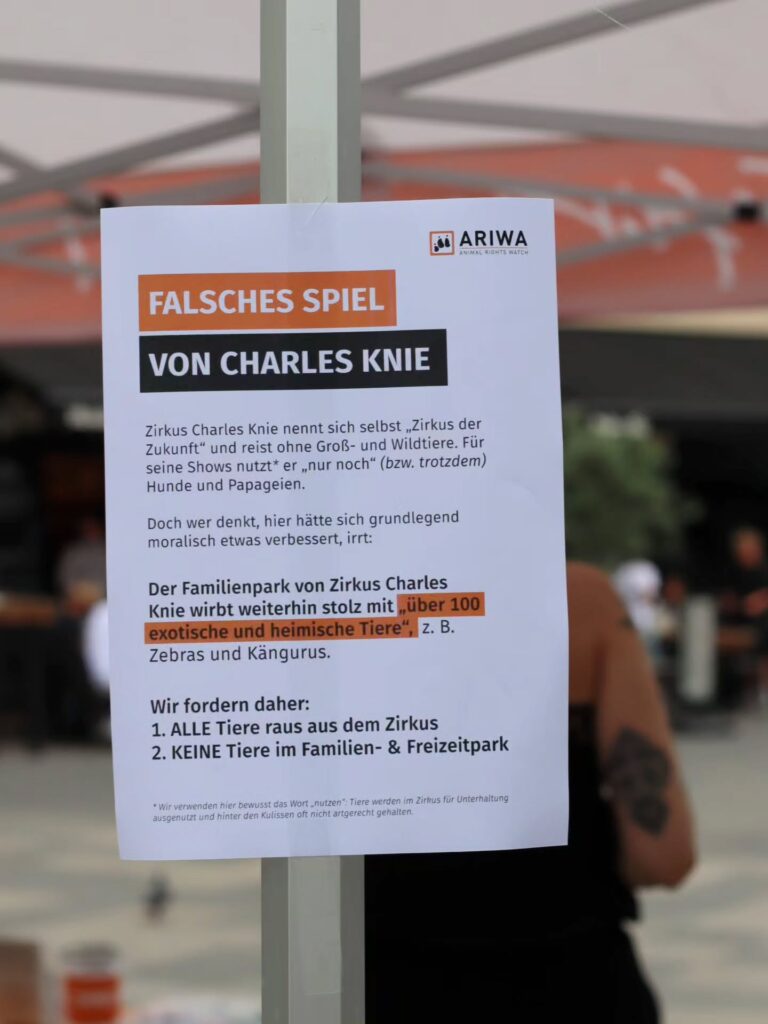 An einem Pavillonpfosten hängt ein Flyer mit ARIWA-Logo und Überschrift „Falsches Spiel von Charles Knie". Text: Zirkus Charles Knie nennt sich selbst „Zirkus der Zukunft" und reist ohne Groß- und Wildtiere. Für seine Shows nutzt er „nur noch" (bzw. trotzdem) Hunde und Papageien. Doch wer denkt, hier hätte sich grundlegend moralisch etwas verbessert, irrt: Der Familienpark von Zirkus Charles Knie wirbt weiterhin stolz mit „über 100 exotische und heimische Tiere", z. B. Zebras und Kängurus. Wir fordern daher: 1. Alle Tiere raus aus dem Zirkus. 2. Keine Tiere im Familien- & Freizeitpark. Fußnote: Wir verwenden bewusst das Wort „nutzen": Tiere werden im Zirkus für Unterhaltung ausgenutzt und hinter den Kulissen oft nicht artgerecht gehalten.
