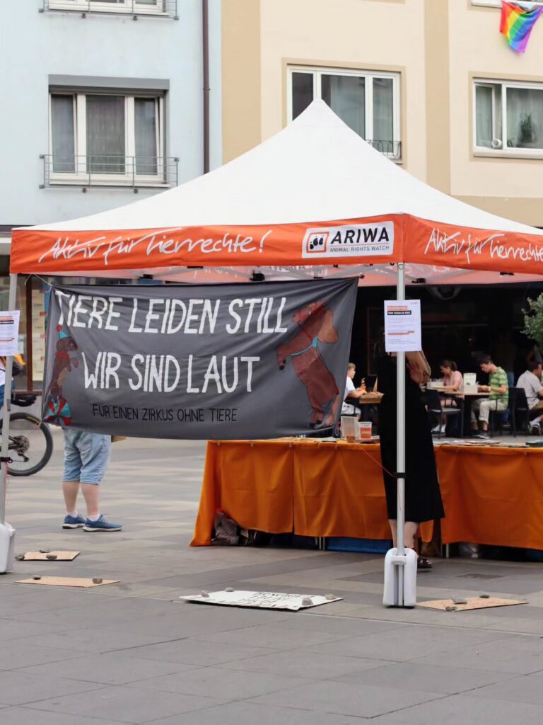 Ein orange-weißer ARIWA-Pavillon mit der Aufschrift „Aktiv für Tierrechte!" und Logo. Darunter hängt ein graues Banner mit gezeichnetem Hund und Bär in Zirkuskostüm sowie dem Text „Tiere leiden still, wir sind laut – für einen Zirkus ohne Tiere". Am orange gedeckten Infotisch dahinter steht eine Aktivistin, im Hintergrund Sitzgäste eines Straßencafés und eine Regenbogenflagge an einem Gebäude.