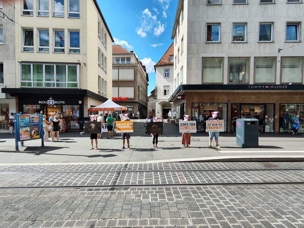 Fünf Personen mit Schweinemasken stehen mit Abstand zueinander auf einer Straße in einer Fußgängerzone und halten Protestschilder, u. a. „Das ist kein Tierwohl!" und „Artgerecht ist nur die Freiheit!". Im Hintergrund ein Ladengeschäft von Tommy Hilfiger und weitere Geschäfte, links ein orangener Infostand-Pavillon. Straßenbahnschienen verlaufen im Vordergrund über das Kopfsteinpflaster.