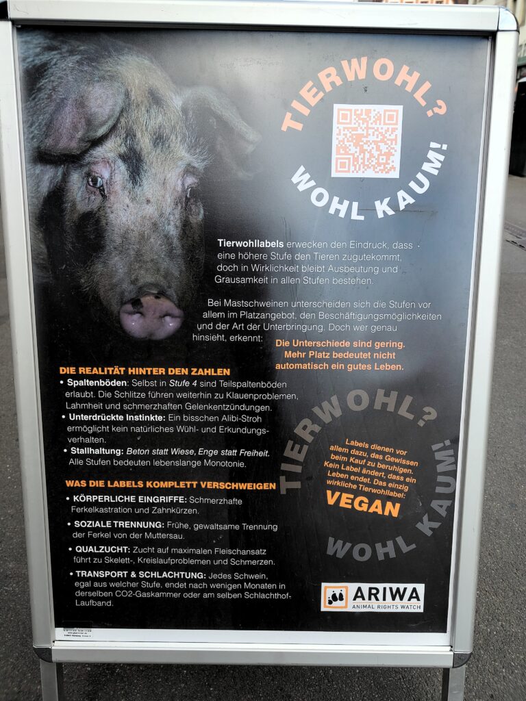 Ein Aufsteller mit Nahaufnahme eines Schweins, dessen Augen und Nase Verletzungsspuren zeigen. Überschrift im Kreis um einen QR-Code: „Tierwohl? Wohl kaum!". Text erklärt, dass Tierwohllabels den Eindruck höherer Standards erwecken, die Unterschiede zwischen den Stufen aber gering seien – u. a. wegen Spaltenböden, fehlender Beschäftigung und Stallhaltung in allen Stufen. Weitere Punkte: körperliche Eingriffe, frühe Trennung von der Muttersau, Qualzucht sowie identischer Transport und Schlachtung in allen Stufen. Fazit: „Das einzig wirkliche Tierwohllabel: VEGAN". Unten das ARIWA-Logo.