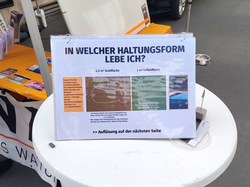 Eine laminierte Infotafel auf einem Stehtisch mit der Überschrift „In welcher Haltungsform lebe ich?". Sie vergleicht grafisch 1,3 m² Stallfläche mit 1 m² Außenfläche anhand der Umrisszeichnung eines Mastschweins, ergänzt durch Fotos realer Stallungen. Zusatztext erklärt, dass knapp 35 % aller Schweine krankhafte Befunde wie Lungenentzündung, offene Wunden und Abszesse zeigen und es zu Verhaltensstörungen wie Schwanzbeißen kommt. Unten der Hinweis „Auflösung auf der nächsten Seite".