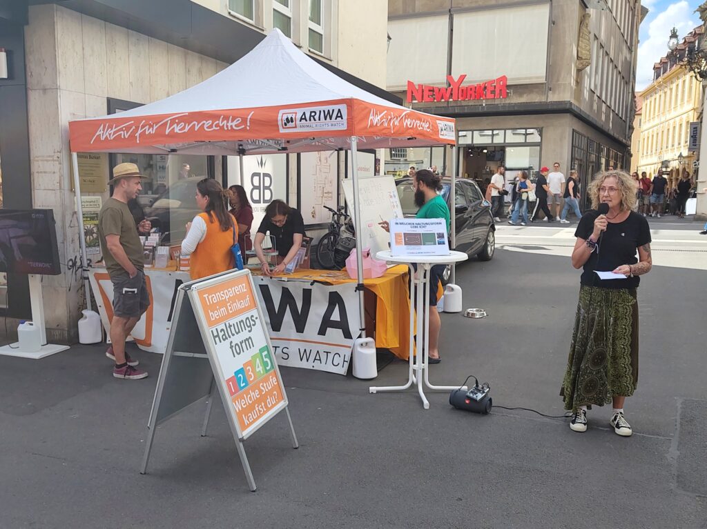 Eine Aktivistin mit lockigem Haar und geblümtem Rock spricht mit Mikrofon vor dem Infostand, auf dem Bildschirm neben ihr steht „Tierwohl". Davor ein Kundenstopper: „Transparenz beim Einkauf – Haltungsform 1 2 3 4 5 – Welche Stufe kaufst du?". Am Stand im Hintergrund weitere Aktivist:innen und Passant:innen, im Hintergrund die Leuchtreklame „New Yorker".