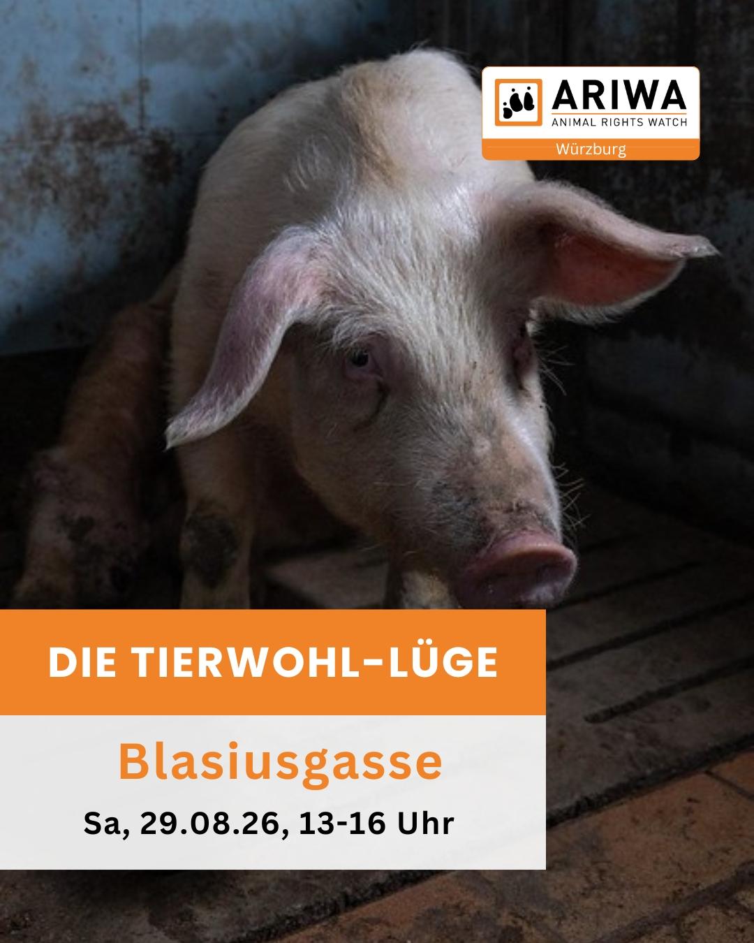 Die Tierwohl-Lüge