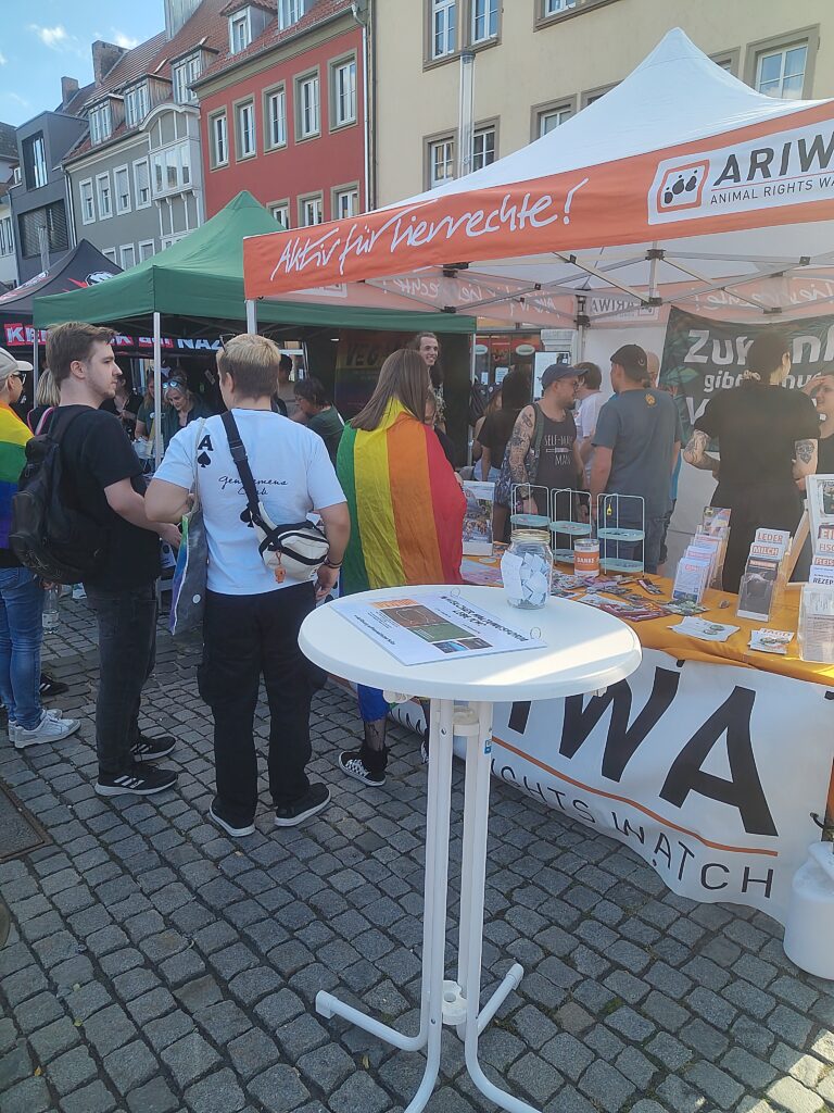 ARIWA-Infostand mit orange-weißem Pavillon „Aktiv für Tierrechte!" auf einem CSD-Straßenfest zwischen historischen Altstadthäusern. Davor ein Stehtisch mit Infoblatt zur Haltungsform, am Tisch stehen mehrere Menschen, darunter eine Person mit Regenbogenfahne als Umhang. Rechts ein Banner „Zukunft gibt es nur vegan". Im Hintergrund weitere Stände, darunter einer mit „Kein Bock auf Nazis".