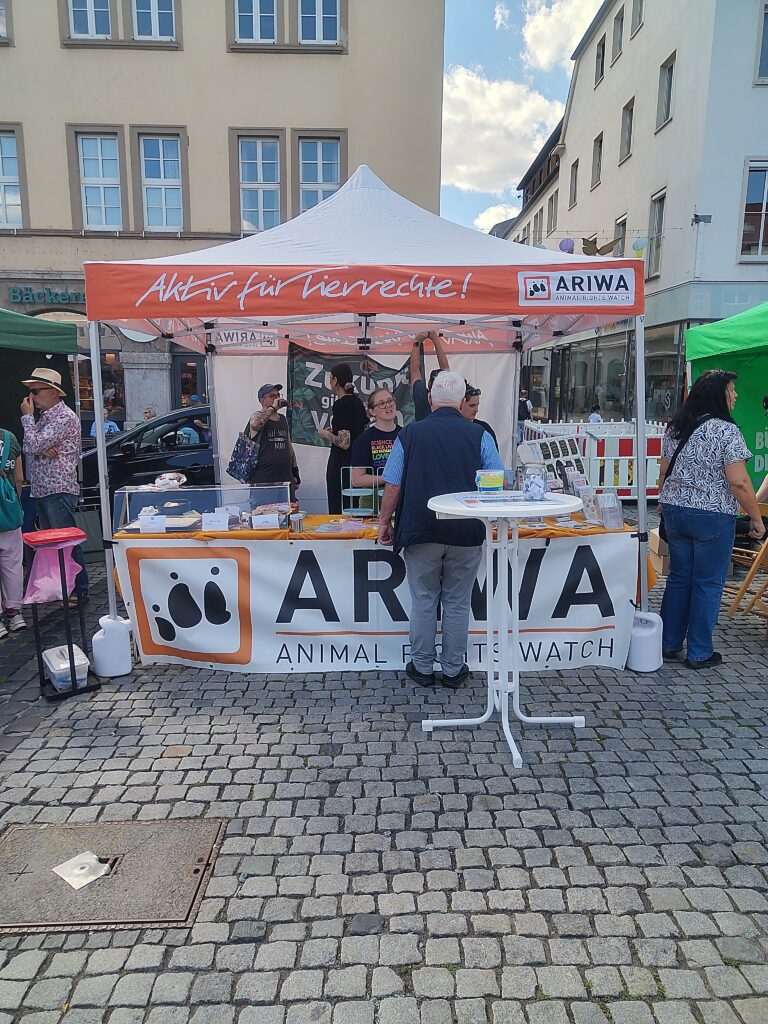 Der ARIWA-Infostand von vorne, mehrere Aktivist:innen stehen unter dem Pavillon an einem Tisch mit Infomaterial und einer Vitrine. Davor ein Stehtisch mit Flyern, ein älterer Besucher steht davor. Im Hintergrund Altstadthäuser und eine Bäckerei.