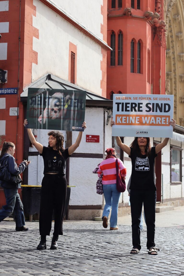 Zwei Aktivistinnen halten am Marienplatz vor der Marienkapelle Protestschilder hoch. Links ein Foto einer Kuh hinter Gittern, rechts: „Sie leben. Sie fühlen. Sie leiden. Tiere sind keine Ware!" mit ARIWA-Logo. Passant:innen gehen vorbei.