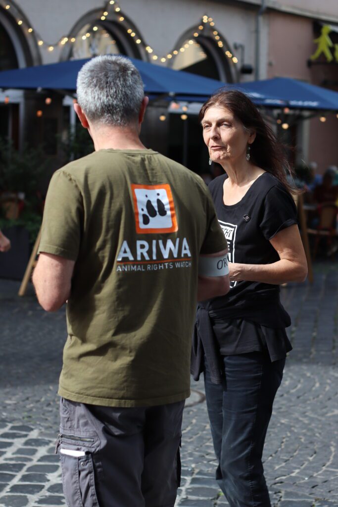 Zwei Aktivist:innen im Gespräch auf einer Kopfsteinpflasterstraße, der Mann von hinten mit ARIWA-T-Shirt, die Frau in Schwarz mit ARIWA-Anstecker. Im Hintergrund eine mit Lichterketten geschmückte Restaurantfassade mit blauen Sonnenschirmen.