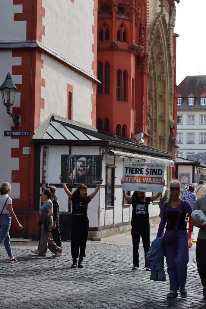 Zwei Aktivistinnen stehen mit erhobenen Protestschildern vor der Marienkapelle am Marienplatz: links ein Foto einer eingesperrten Kuh, rechts der Text „Sie leben. Sie fühlen. Sie leiden. Tiere sind keine Ware!". Passant:innen gehen an ihnen vorbei.