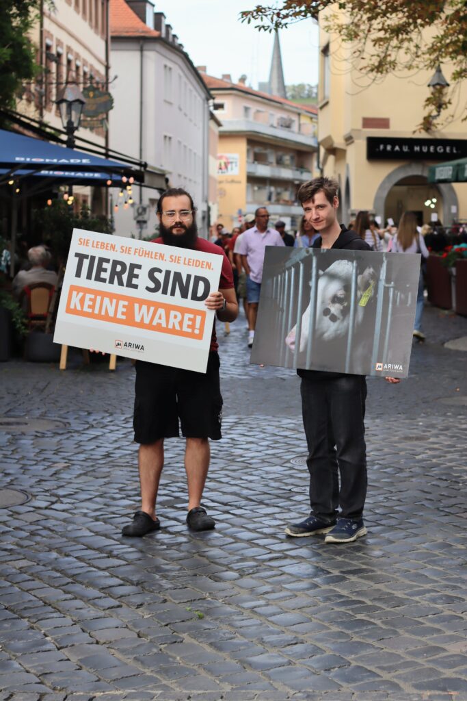 Zwei Aktivisten stehen in einer historischen Fußgängerzone mit Cafés und halten Protestschilder: links „Sie leben. Sie fühlen. Sie leiden. Tiere sind keine Ware!", rechts ein Foto einer Kuh hinter Gittern. Im Hintergrund das Geschäft „Frau Huegel" und Passant:innen.